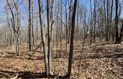 Veterans Lookout, Wilder, TN 38589