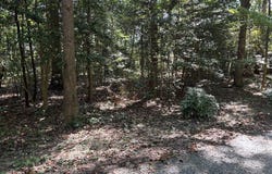47E Hickory Hill Lane, LANCASTER, VA 22503