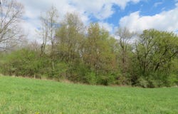 5101 Textile Road, Ypsilanti, MI 48197