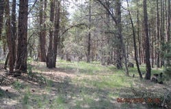 0 Golden Eagle Drive, Bonanza, OR 97623