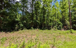 Lot 507 Lakeshore Dr, Abbeville, AL 36310