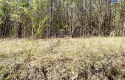 396 Beulah Rd, Tellico Plains, TN 37385