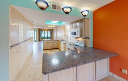 1849 ABRICO Drive, LUTZ, FL 33558