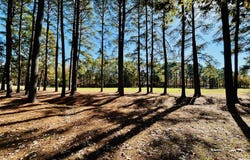 11 Croatan Road lot: E-11, Hertford, NC 27944