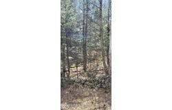 Jacobs Ladder Rd, Becket, MA 01223