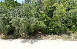 0000 SW 16TH PLACE, OCALA, FL 34481