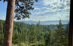 32054 Birch Tree Drive, Bigfork, MT 59911