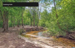 LOT 2 SHARPS CREEK RD, Scottsville, VA 24590