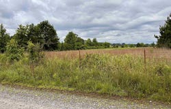 Hattieville, AR 72063