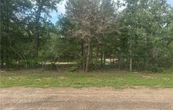 760 Blueberry Road, Somerville, TX 77879