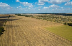 8501 Hwy 29 E, Georgetown, TX 78626