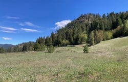 3500 ROCKCUT RD, KETTLE FALLS, WA 99141