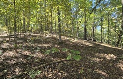 3774 Needmore Road, Princeton, KY 42445