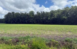 0 Near 403 Flynn Cemet Road, Whiteville, NC 28472