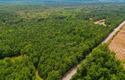 Monticello, AR 71655