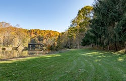 305 Mulberry Ln, Mouth of Wilson, VA 24363
