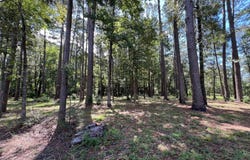 01 Chickamauga Drive and Ponderosa Lane, Zwolle, LA 71486