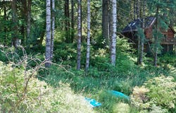 9965 BEACH DR, Birkenfeld, OR 97016