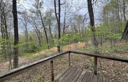 2344 NC 2847, Marble Falls, AR 72648