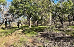 Lot 13 CR 127, Carlton, TX 76436
