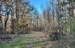 3672 Highway 582 East, Forest, LA 71242