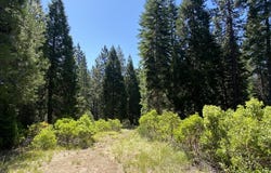 3-G-14 Elk Springs Ct, McCloud, CA 96057