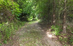 TBD Blankston Rd., Columbia, LA 71418