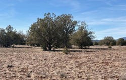 00-C N Dunbar Boulevard, Ash Fork, AZ 86320