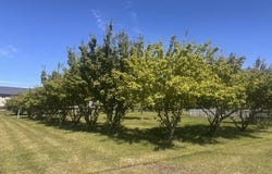000 215th, Spirit Lake, IA 51360