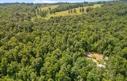 279 Bear Den Trail, Grandview, TN 37337
