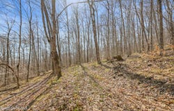 L9.114 Lutheranville Road, Summit, NY 12175