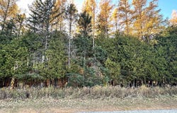 Kay Dr K1, Stephenson, MI 49887