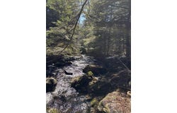 6 Bog Brook Loop, West Paris, ME 04289