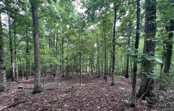 2661 Red Bluff Rd., Marshall, AR 72650