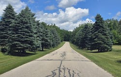 Mt. Vernon Hills Road lot: #33, Vanderbilt, MI 49795