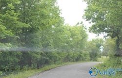 600 County Road 550, Grove Oak, AL 35975