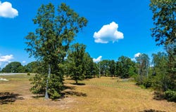 Hwy 62E/412, Glencoe, AR 72539