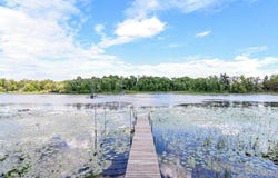 7966 Lost Lake Road, Lake Shore, MN 56468