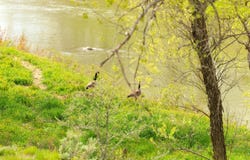 15590 State Hwy 243, Saco, MT 59261