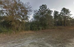 142ND AVENUE, MORRISTON, FL 32668