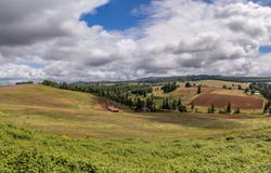 1066 RED HILL RD, Oakland, OR 97462