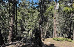Lot 1662 El Vado Way, Angel Fire, NM 87710