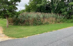 LOT 517 BEACH PLUM DRIVE, MILFORD, DE 19963