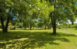 1936 E Clear Lake Road, Buchanan, MI 49107
