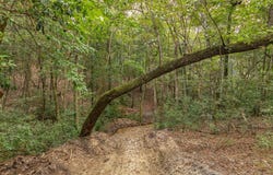 Power Dam Road, Newton, AL 36352
