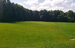 3598 Township Rd 124, Mount Gilead, OH 43338