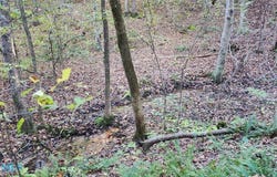 Plainview Drive, Saluda, VA 23149