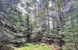 EAGLE WATERS RD lot: 5, Eagle River, WI 54521