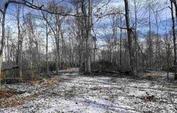 county road 75 W, Cayuga, IN 47928