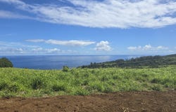 34-4330 PALI NANA RD unit: 1, Papaaloa, HI 96780